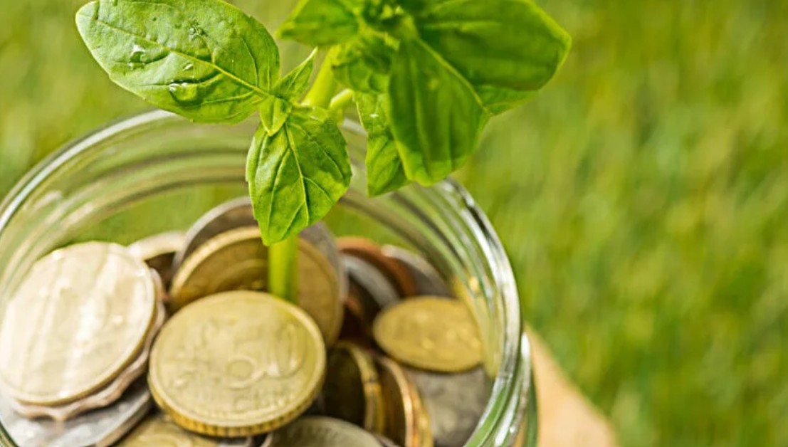 Asian DFI to invest in impact investor Aavishkaar Capital's credit fund- Read the interview of Vi...