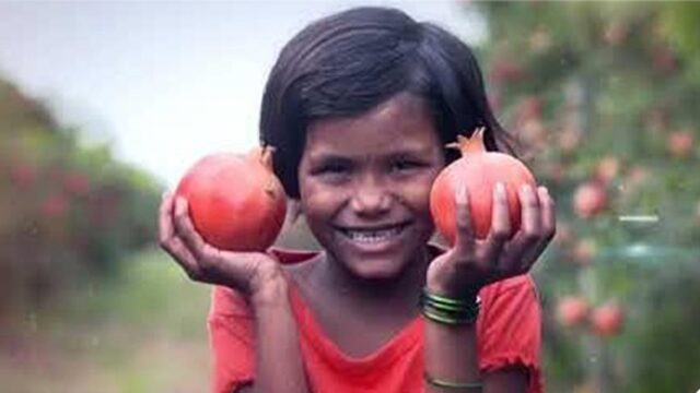 Aavishkaar Group Impact 2025